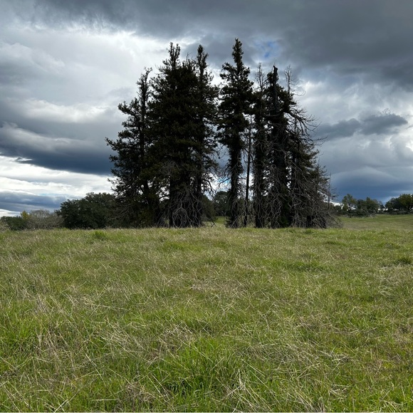 Meet your Posher, Kelly - Picture 1 of 1